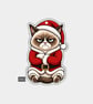 Funny Christmas Gift Tags For Adults, 6pk - Grumpy Santa Suit Cat