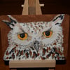 Original ACEO Owl