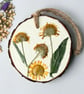 Real Pressed Wildflower Wood Slice Hanging Hand Painted Rustic