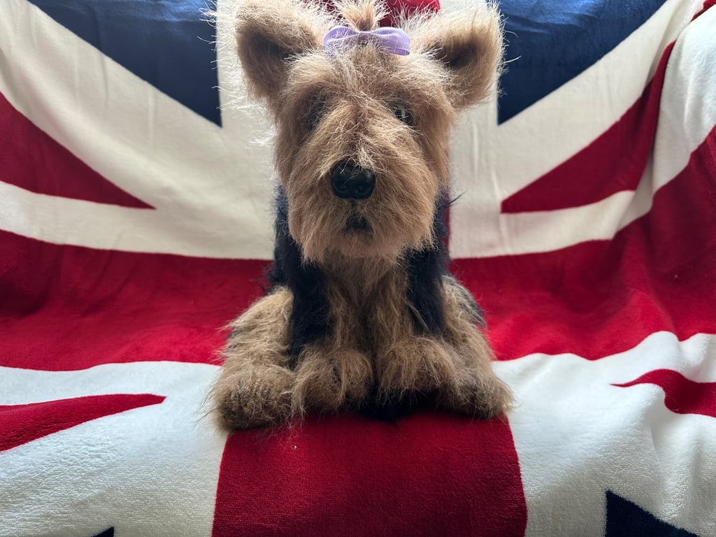 Yorkshire Terrier puppy