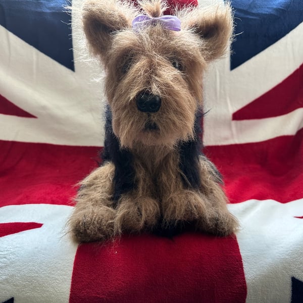 Yorkshire Terrier puppy