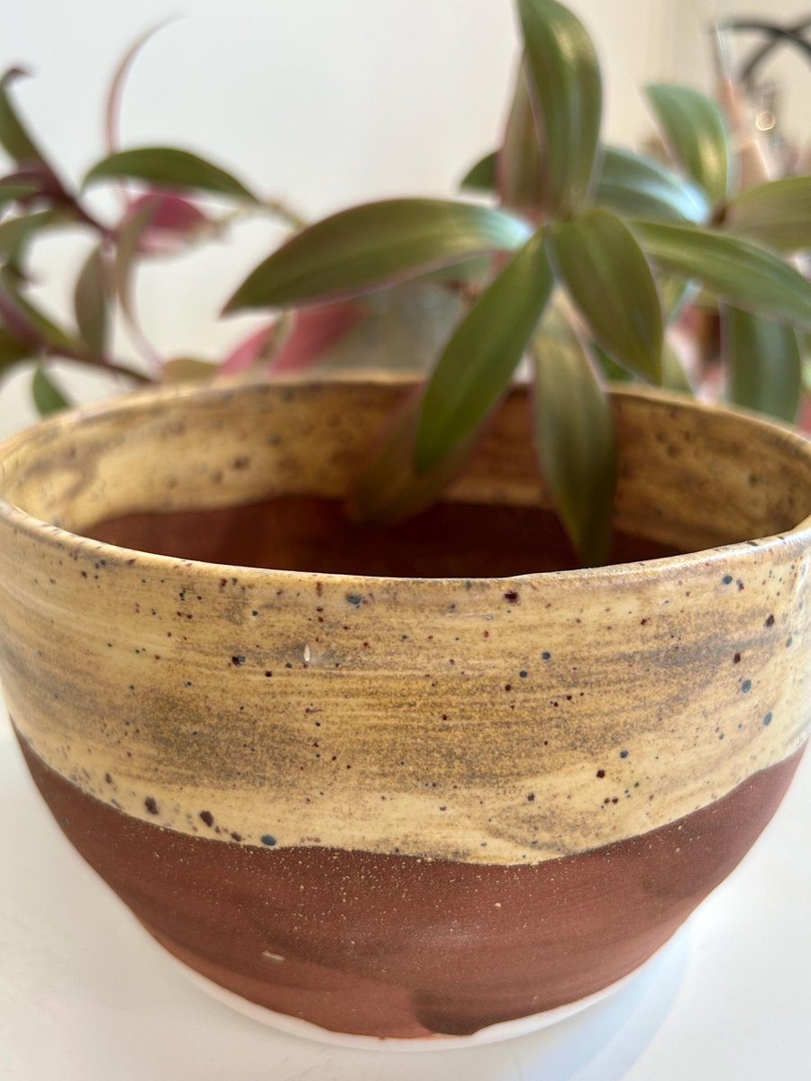 Hand thrown bowl