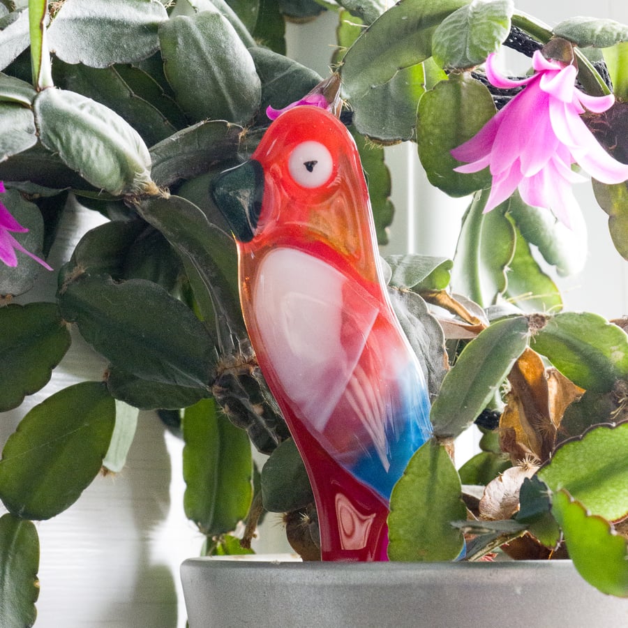 Translucent Red Fused Glass Pot Parrot - 6164