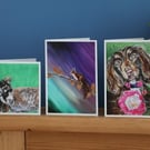 A Pack of 5 Choose your own Blank Greetings cards