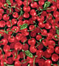 Cherries coasters set of 4, cherry fabric coasters, Handmade - Image 10