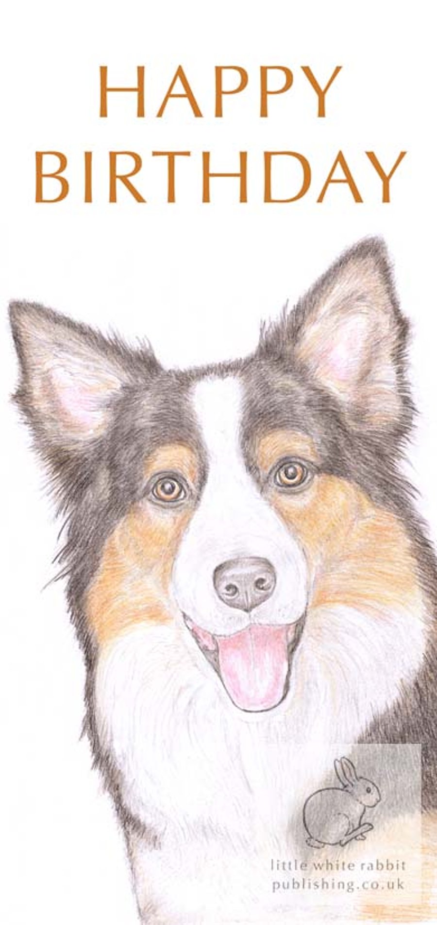 Hollie the Border Collie - Birthday Card