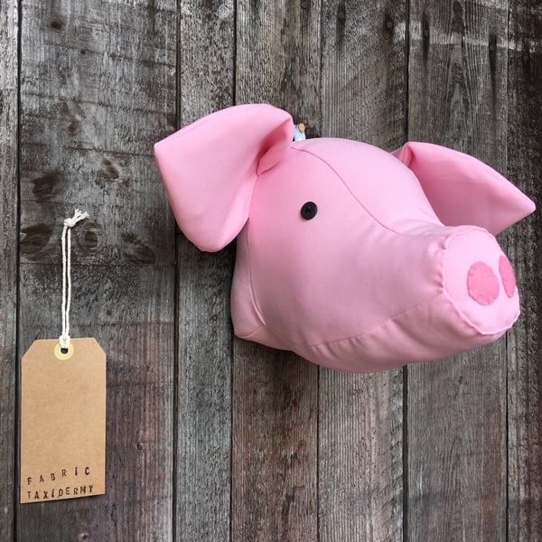 Wall mounted Pig head