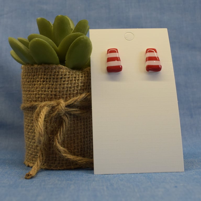 Mini Striped Stud Earrings