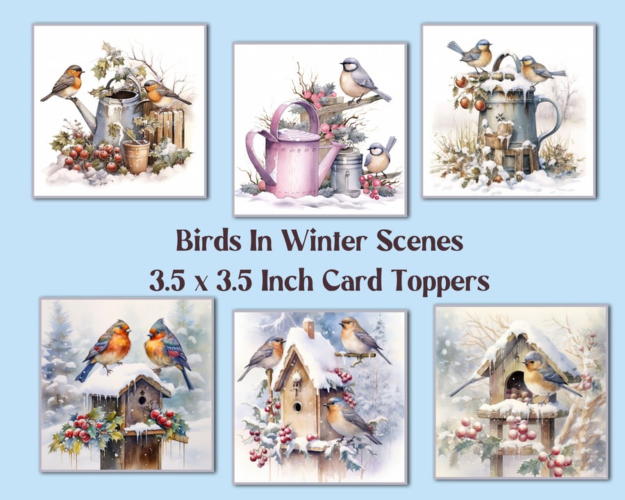 Birds in WInter Scenes Square Card Toppers for Card Making, Journals, Tags