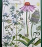 Card 'Fleurs'  - Image 5