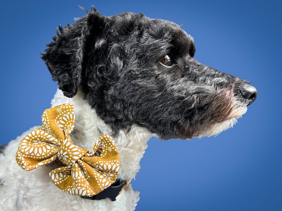  Dog Neckwear Set, Dog Accessories Set: Bow and Bandana, dog collar, dog bandana