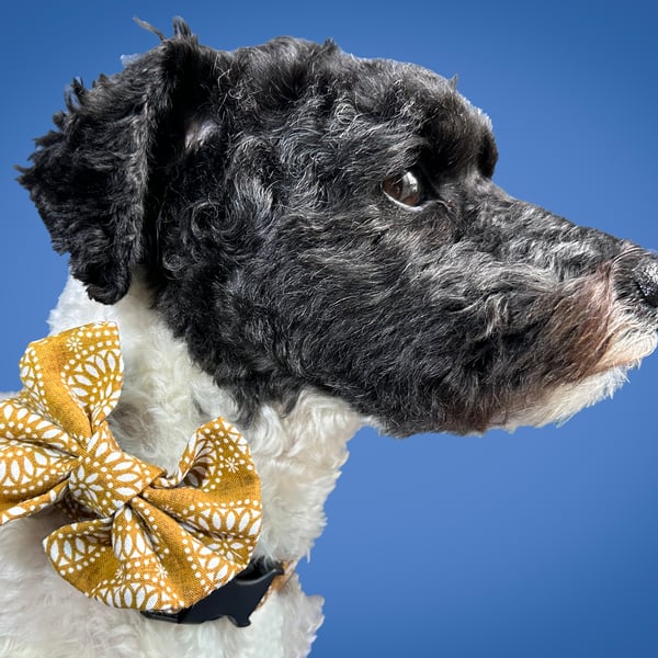  Boho Mustard Dog Accessories Set: Bow and Bandana, dog collar, dog bandana
