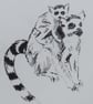 Lemur & Baby Limited Edition Original Hand-Pulled Drypoint Print Animal Art - Image 3