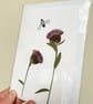 Real Pressed Wildflower, Knapweed, Bee Handmade Card - Image 2