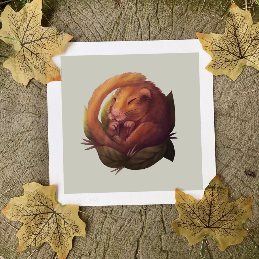 Dormouse Art Print