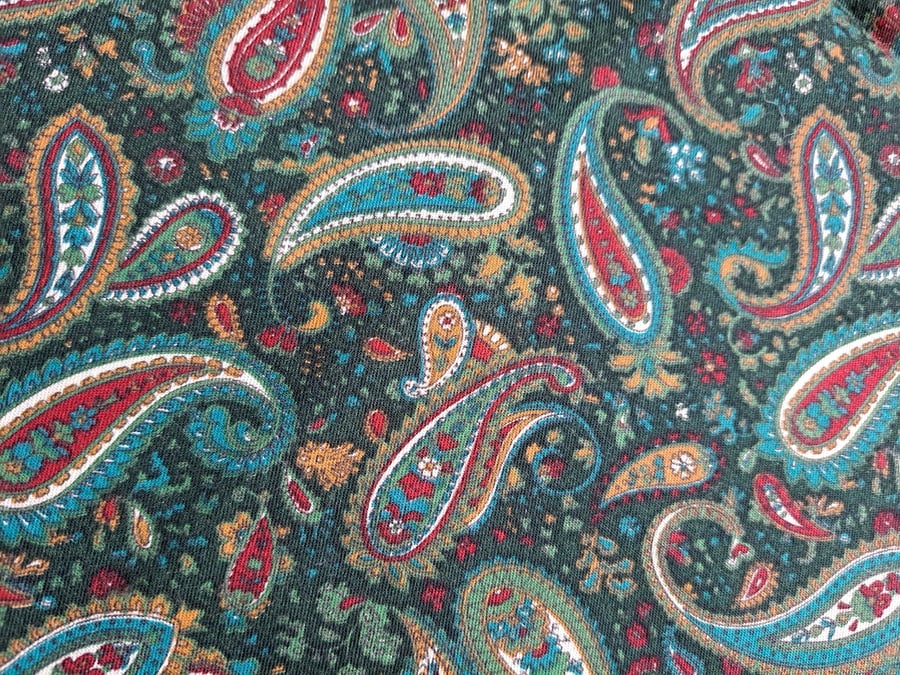 Paisley 2