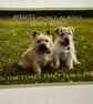 Personalised Pet Memorabilia Cushion From My Billy and Lola collection - Image 3