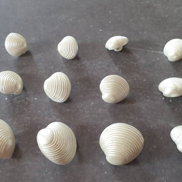 19mm 3 4" Scallop Shell Button Sprayed Pearl effect