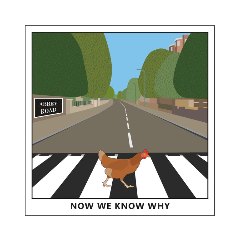 Chicken Crossing The Road Postcard