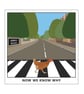 Chicken Crossing The Road Postcard