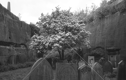 St James’ Cemetery Garden