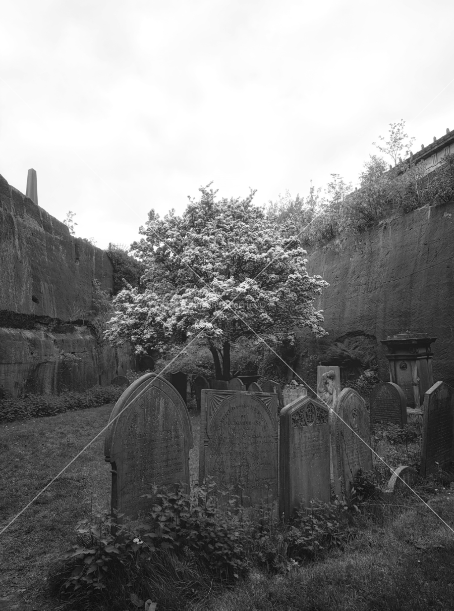 St James' Cemetery Garden