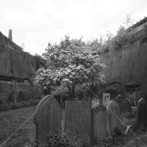 St James' Cemetery Garden