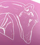 Greyhound Linocut Print - Dog Lover - Pet Parent Gift - 3 Colours Available - Image 6