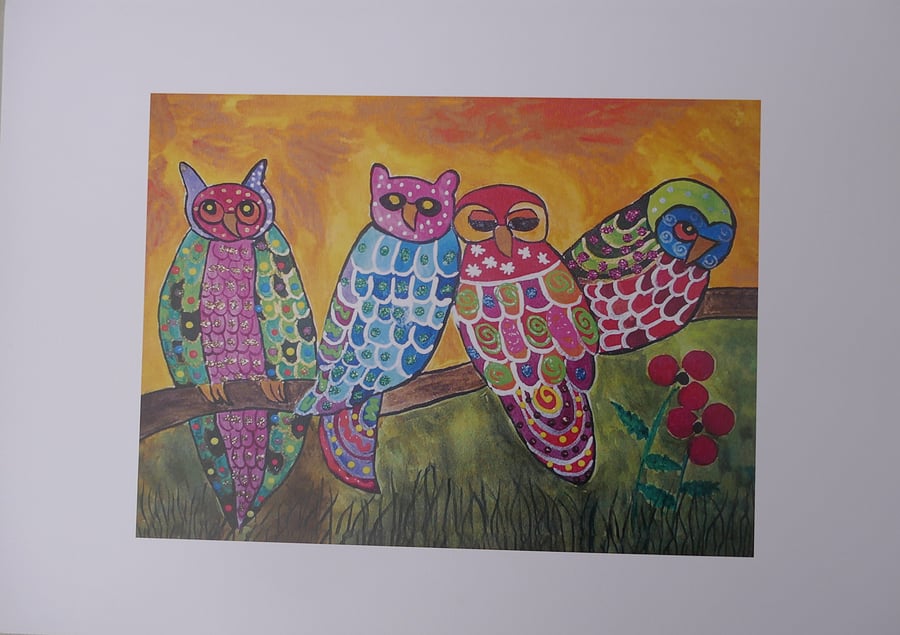 Colourful Owls Print  11.5" x 8.5", including white boarder 18" x 12.5"