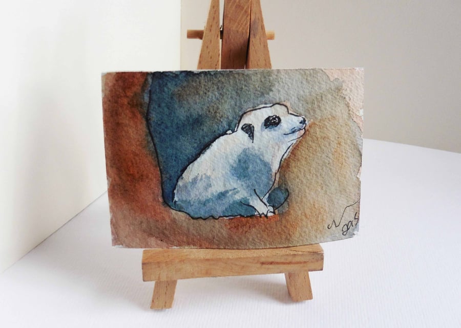 ACEO Meerkat Hide Animal Art Original Watercolour and Ink Painting OOAK 