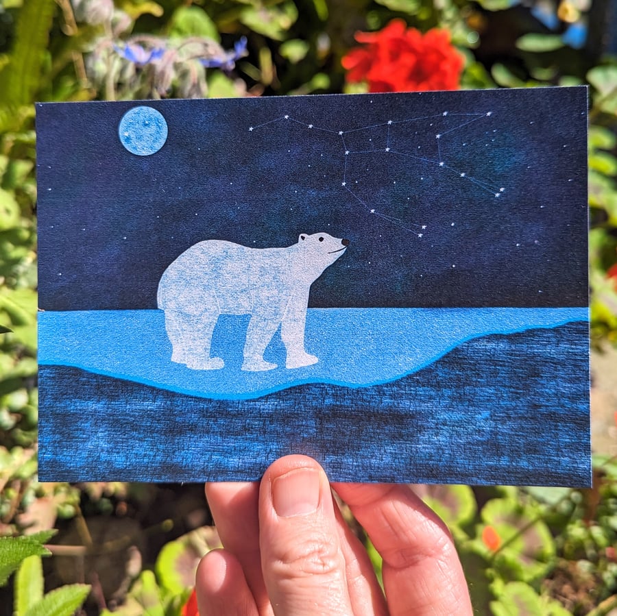 Polar Bear Card Blank Greetings