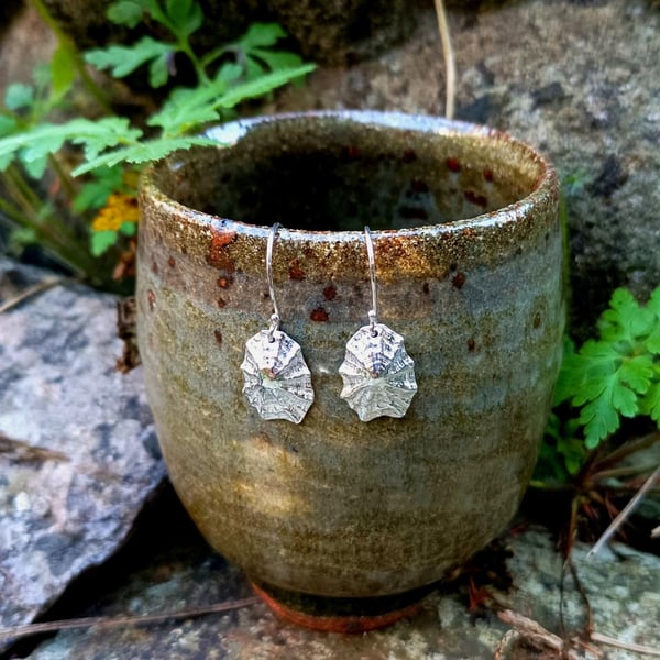  Silver Limpet Shell Earrings - Recycled Silver Shell Earrings