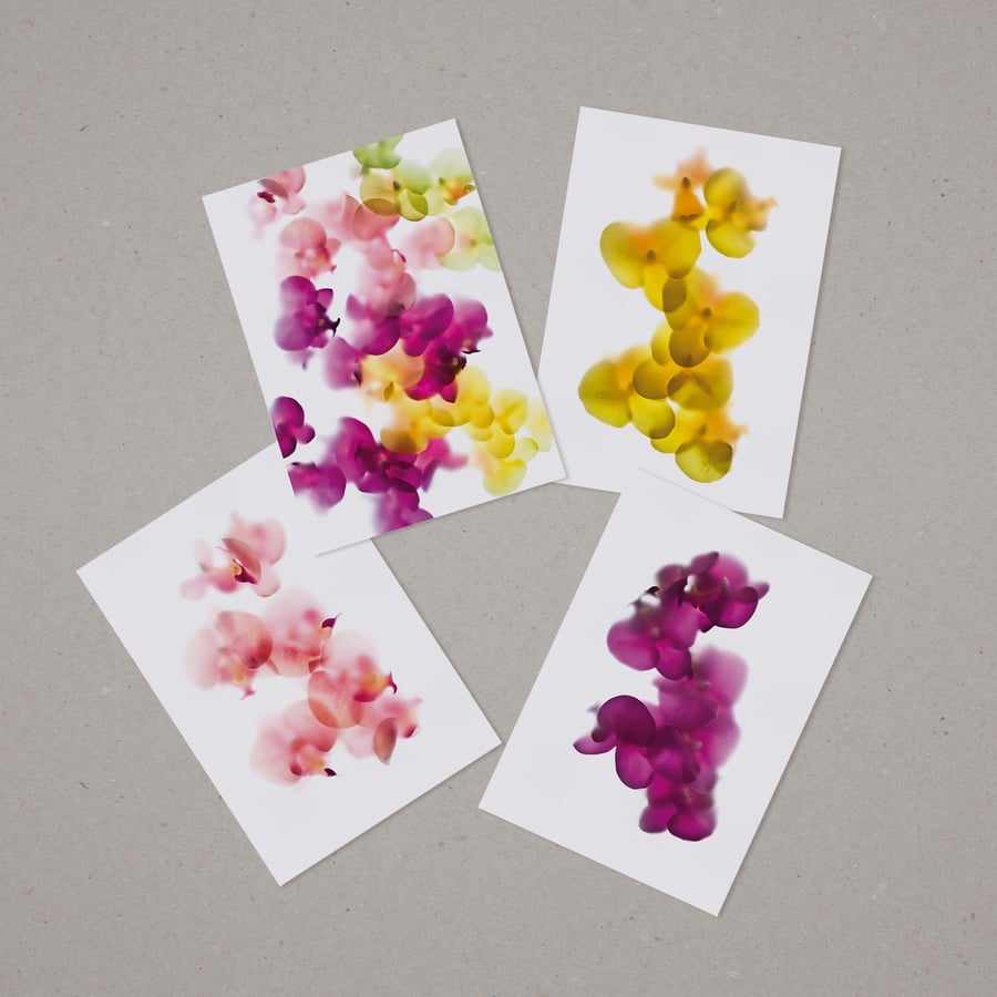 Set of 4 mini tropical floral prints A6 postcards with vibrant orchids images