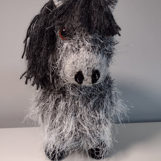 Sandie the Shetland