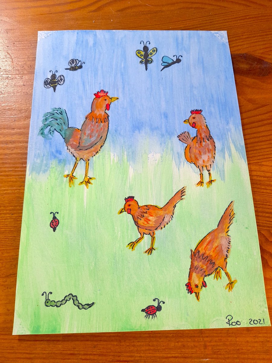 Chucks n bugs A5 watercolour and ink