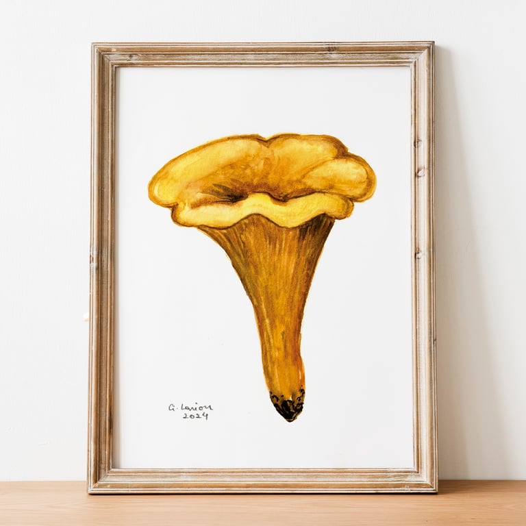 Chanterelle A5 Inkjet Print