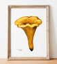 Chanterelle A5 Inkjet Print - Image 1