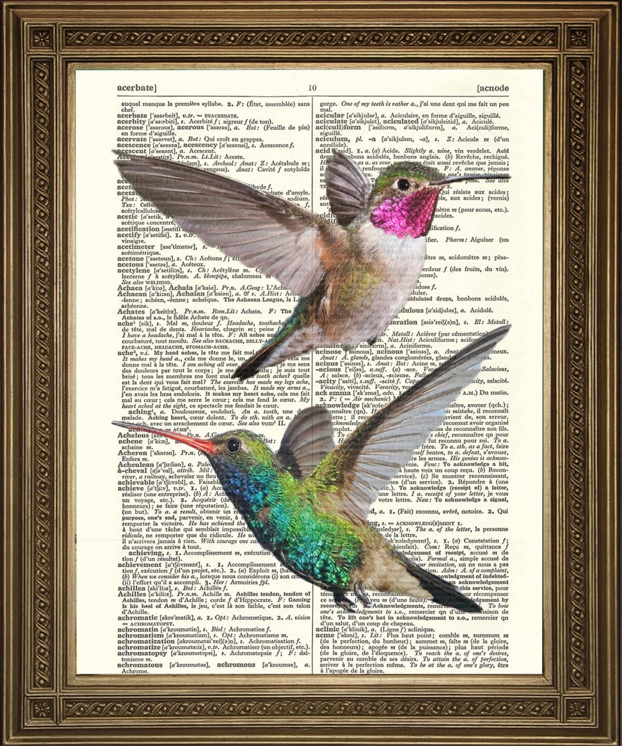 Two Hummingbirds Art: Dictionary Print Love Wallhanging