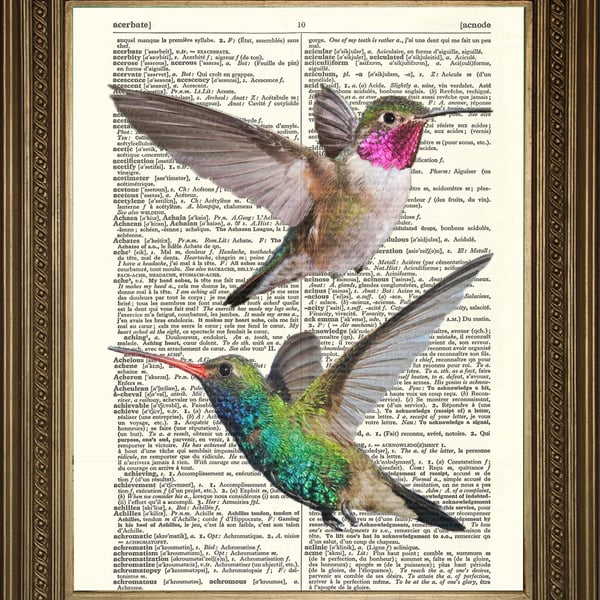 Two Hummingbirds Art: Dictionary Print Love Wallhanging