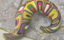 Brooches 