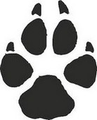 The Bear and the Wolf