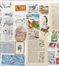Paper Ephemera Pack - Birds - Craft Supplies - Image 4