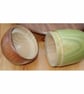 Acorn - Image 2