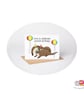 Otter Birthday Card, A6 Birthday Card, Cute Animal Birthday Card