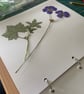 Pressed Blue Geranium Botanical Art in a Glass & wood floating frame - Image 4