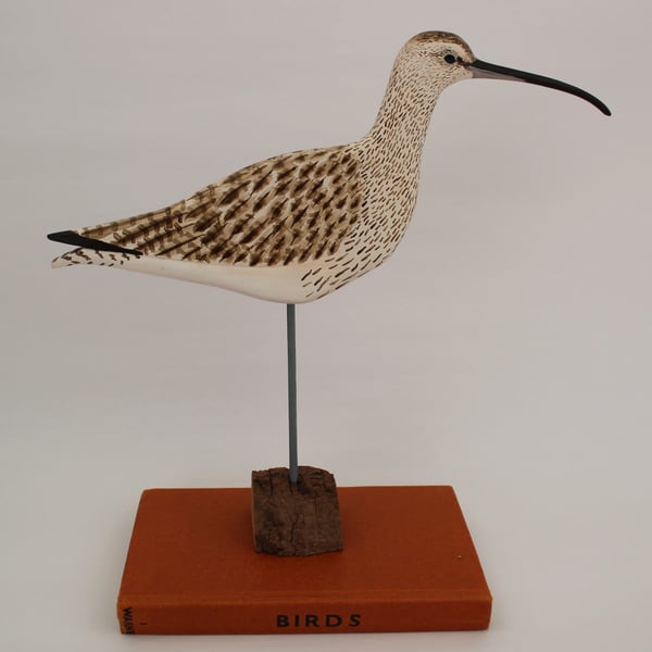 Curlew 