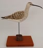 Curlew  - Image 1