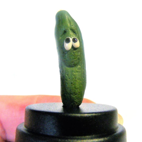 Pet Cucumber, Vegetable gift, Gardener gift, Vegan Gift, Vegetarian gift