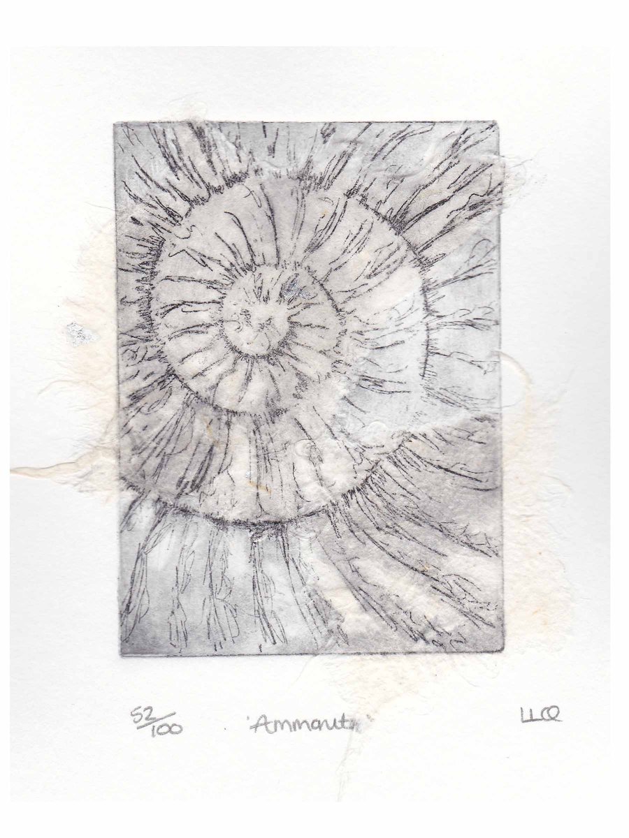 Etching no.52 of an ammonite fossil with chine colle in an edition of 100