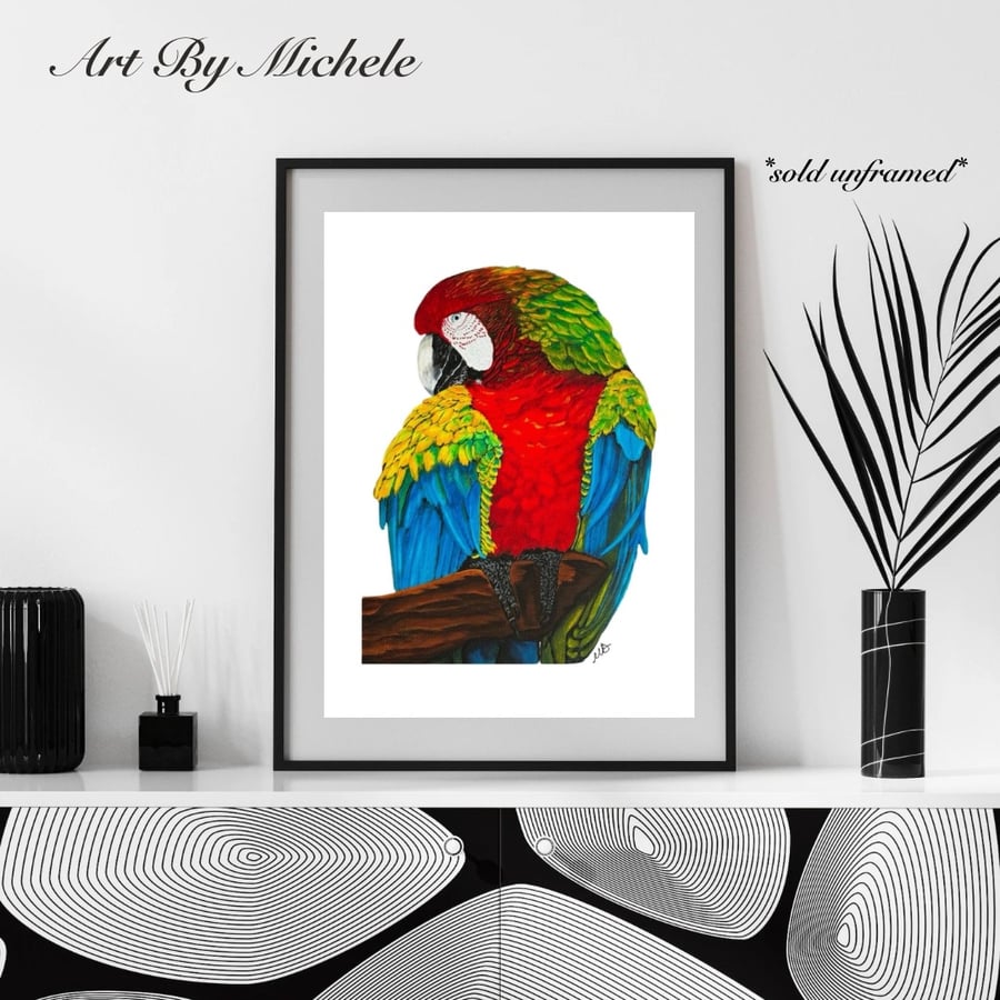 Red Macaw Giclée Limited Prints: Tropical Bird Wall Art - 11x14”